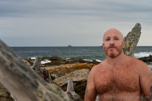 Urso ruivo musculoso na costa da Crsega e nas praias